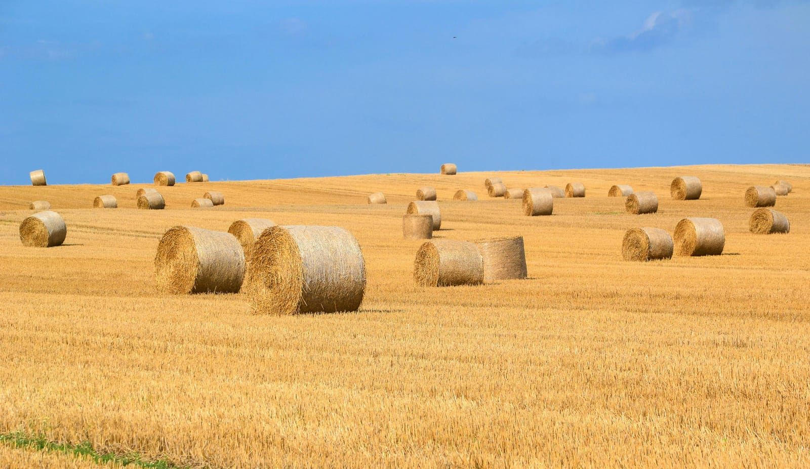 Starting an On-Farm Composting Operation in California